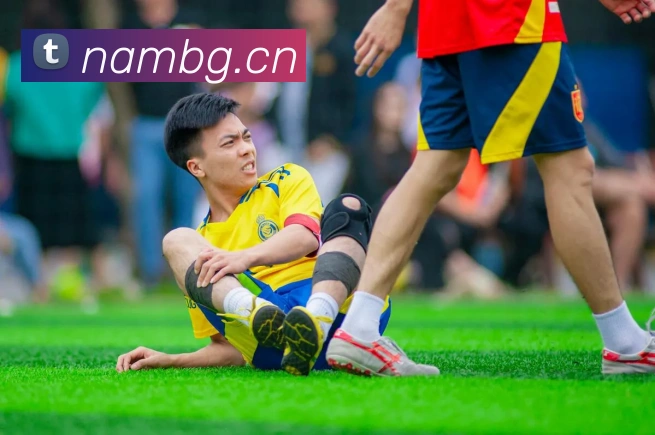 九游体育在线平台平台生态图